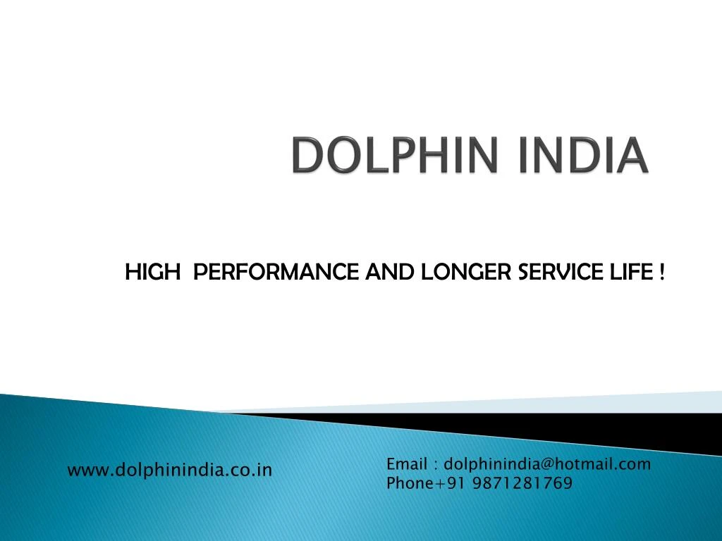 dolphin india