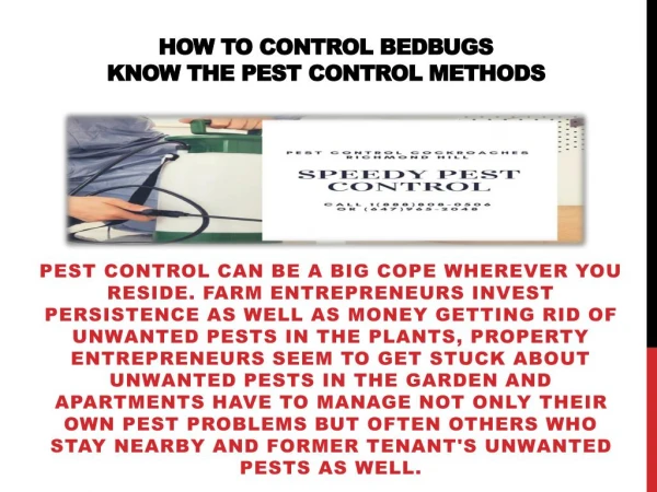 How To Control Bedbugs - Know The Pest Control Methods