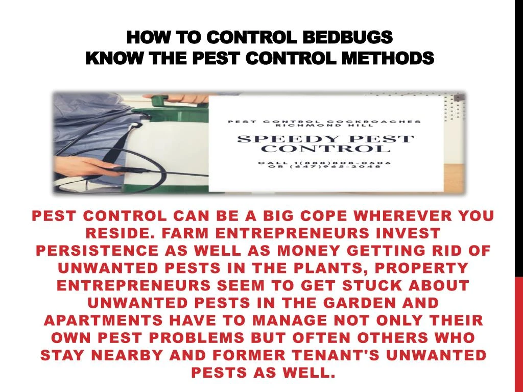 how to control bedbugs know the pest control methods