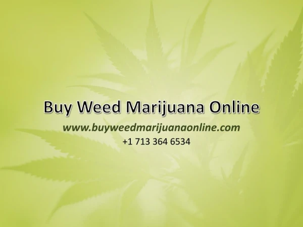 Buy Weed Online | Medical Cannabis for sale Online