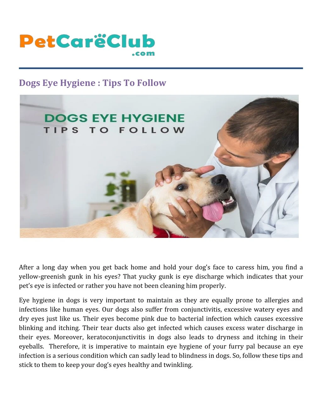 dogs eye hygiene tips to follow