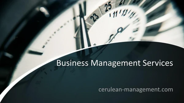 Business Management Training Classes | Cerulean Inc