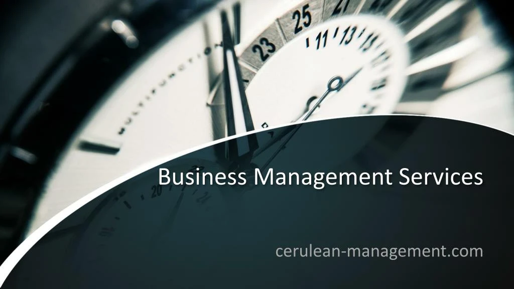 business management services