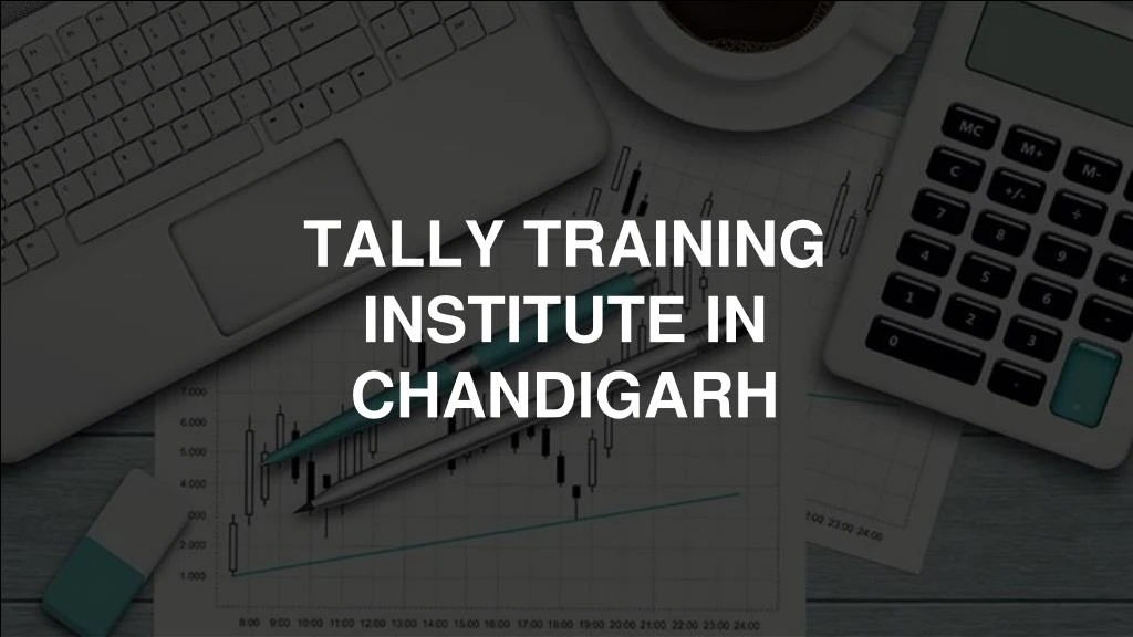 tally training institute in chandigarh