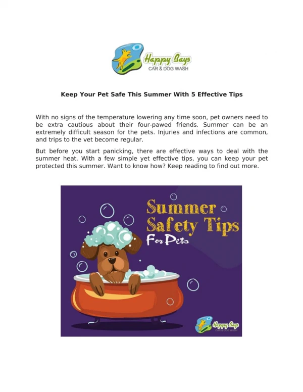 Keep Your Pet Safe This Summer With 5 Effective Tips