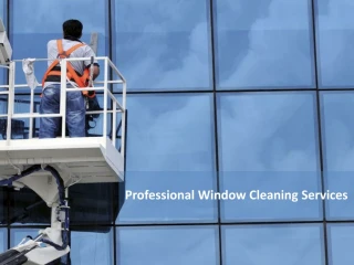 Professional Window Cleaning Services - slide 1