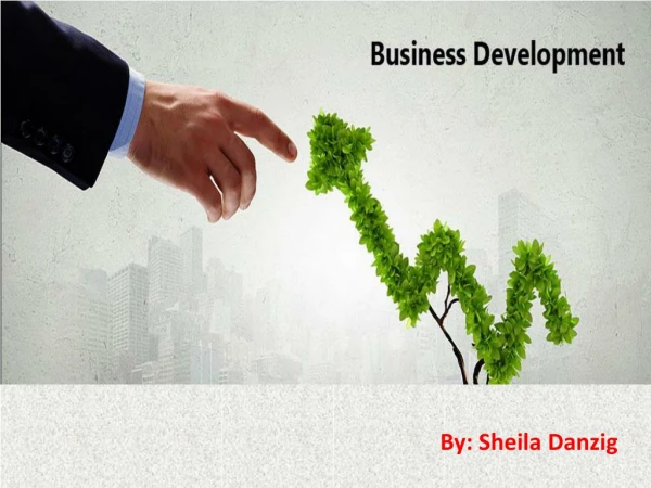 Tips for Business Development Process by Sheila Danzig