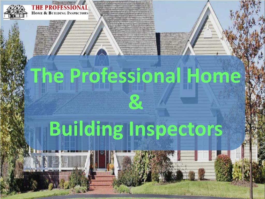 the professional home building inspectors