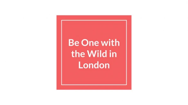 Be One with the Wild in London