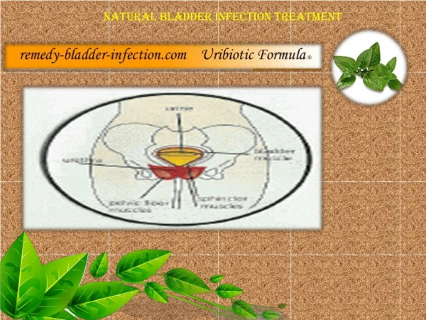 Natural Bladder Infection Treatment