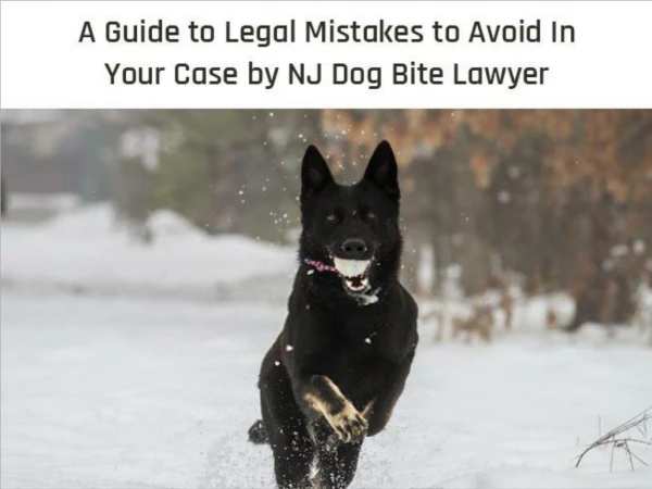 A Guide to Legal Mistakes to Avoid In Your Case by NJ Dog Bite Lawyer