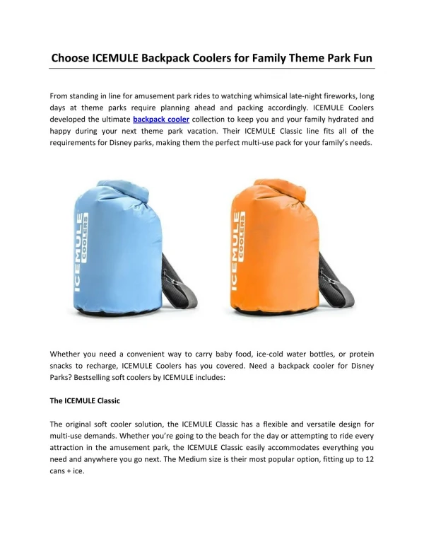 Choose ICEMULE Backpack Coolers for Family Theme Park Fun