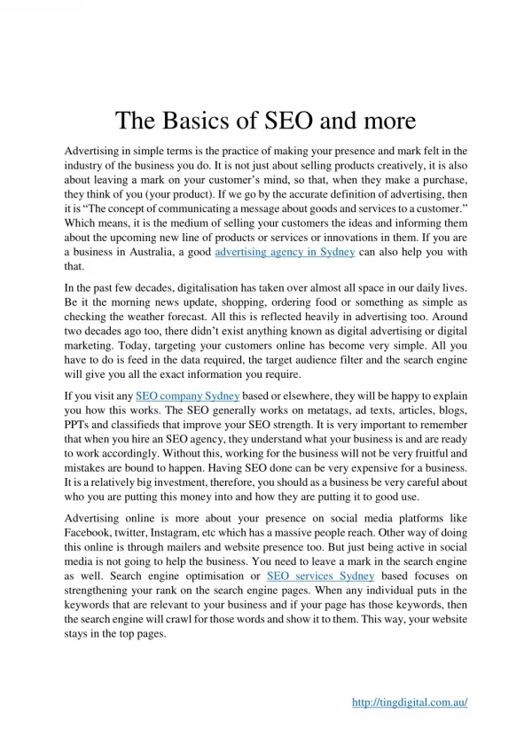 the basics of seo and more