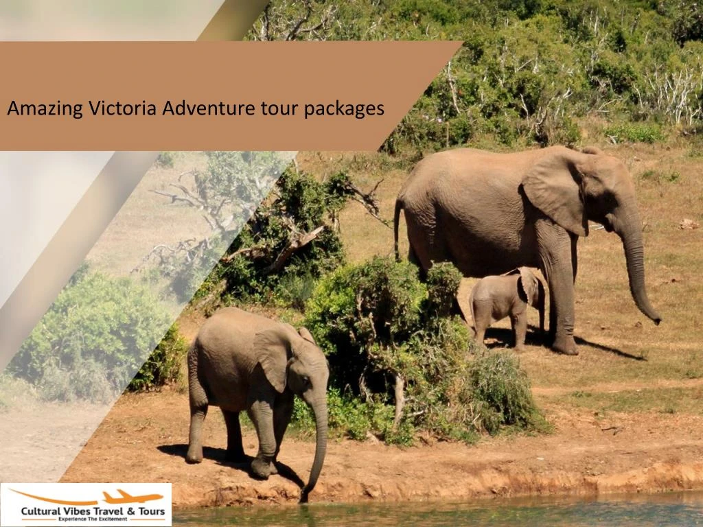 amazing victoria adventure tour packages