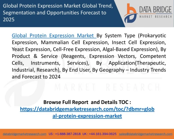 Global Protein Expression Market – Industry Trends and Forecast to 2024