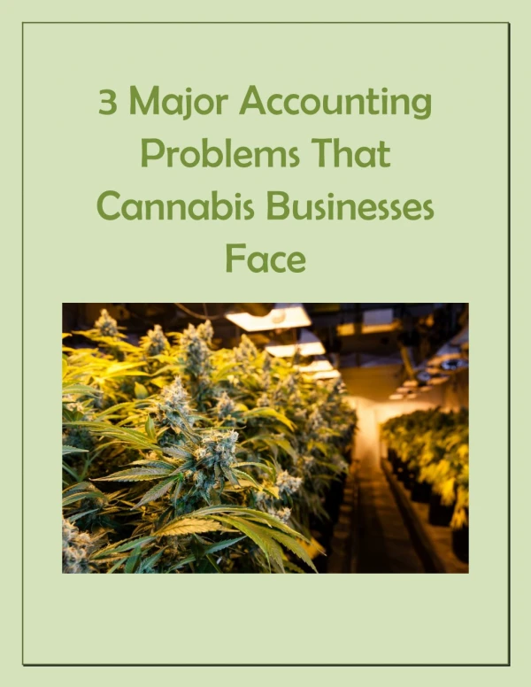 3 Major Accounting Problems That Cannabis Businesses Face