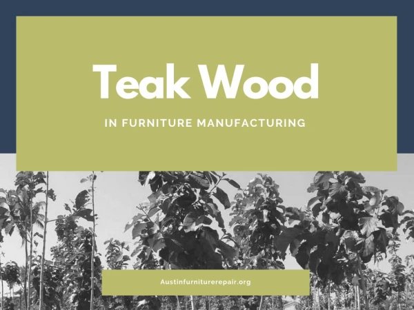 Teak Wood in Furniture Manufacturing