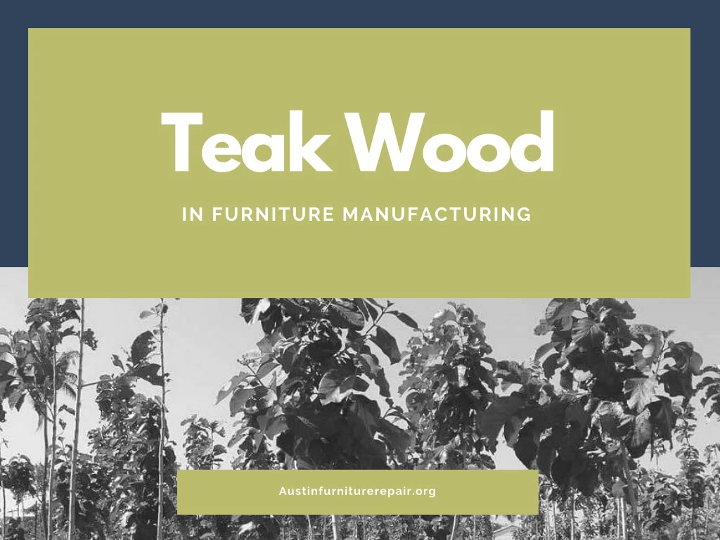 teak wood in furniture manufacturing