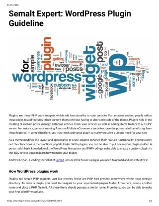 Semalt Expert WordPress Plugin Guideline - slide 1