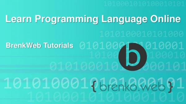 Learn Programming Language Online Free â€“ BrenkoWeb