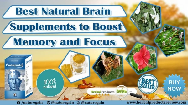 Best Natural Brain Supplements to Boost Memory and Focus