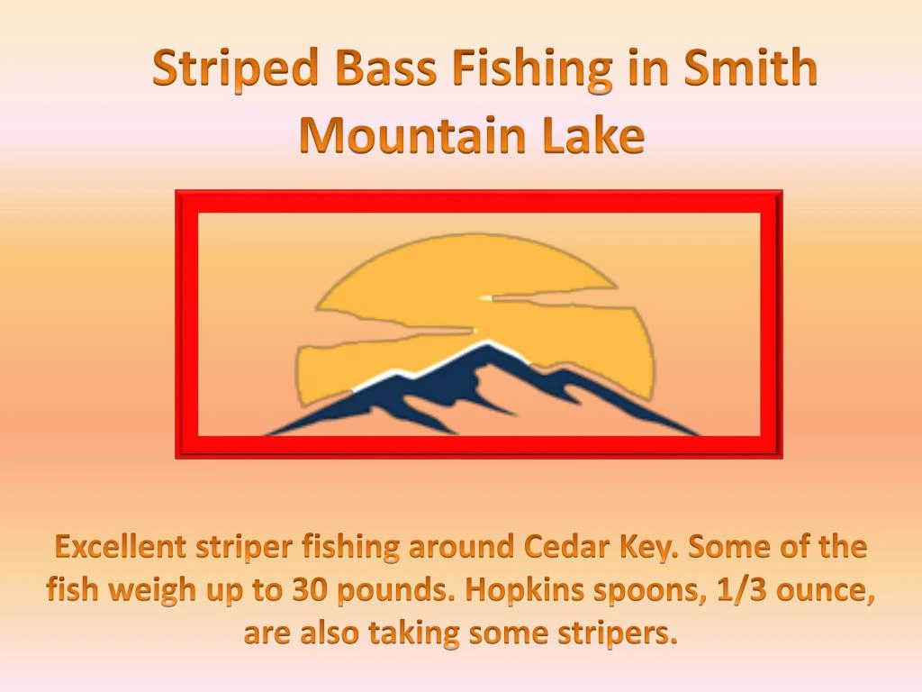 striped bass fishing in smith m ountain lake