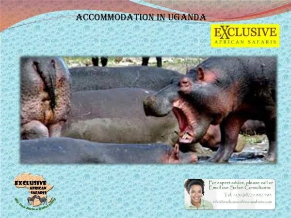 Accommodation In Uganda