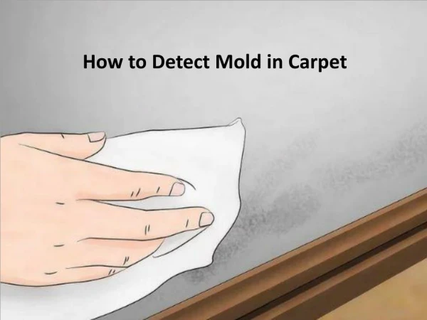 How to Detect Mold in Carpet by Carolina Water Damage Restoration