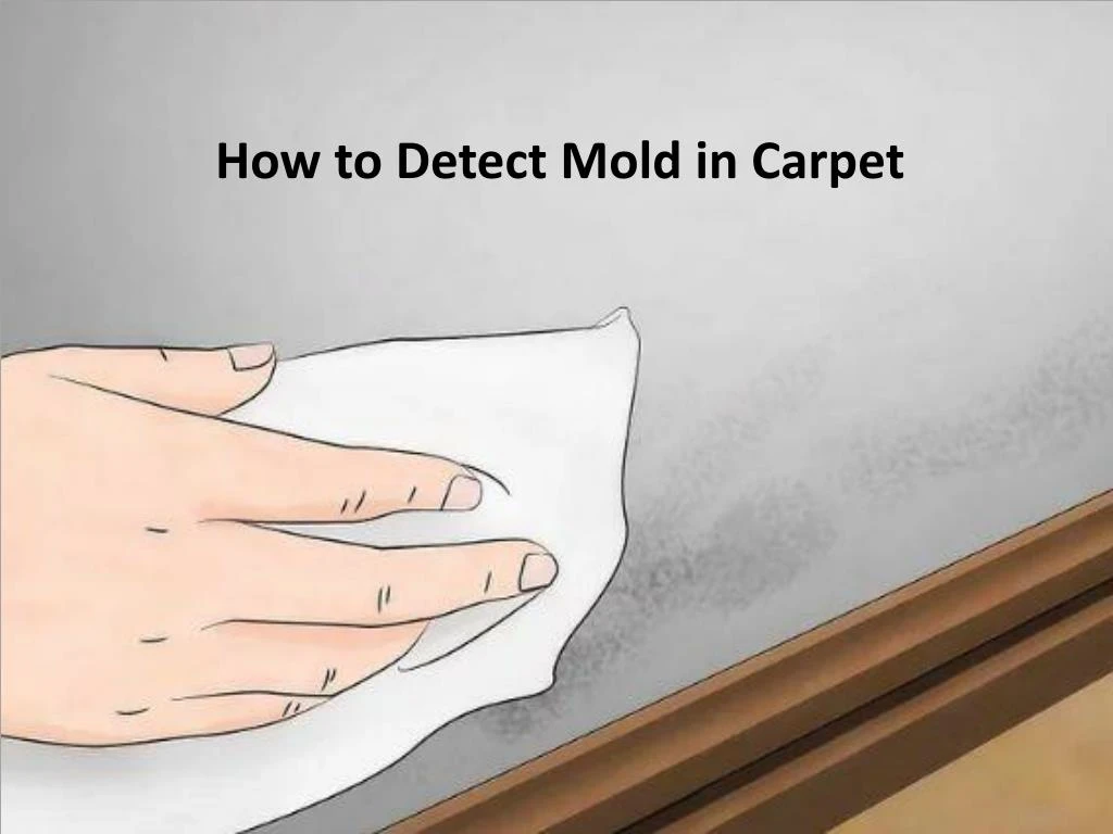 how to detect mold in carpet