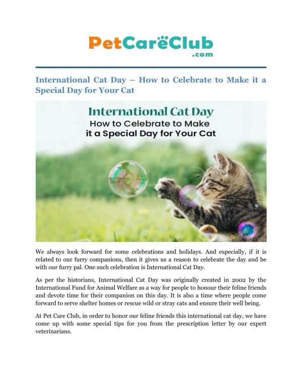 International Cat Day – How to Celebrate to Make it a Special Day for Your Cat