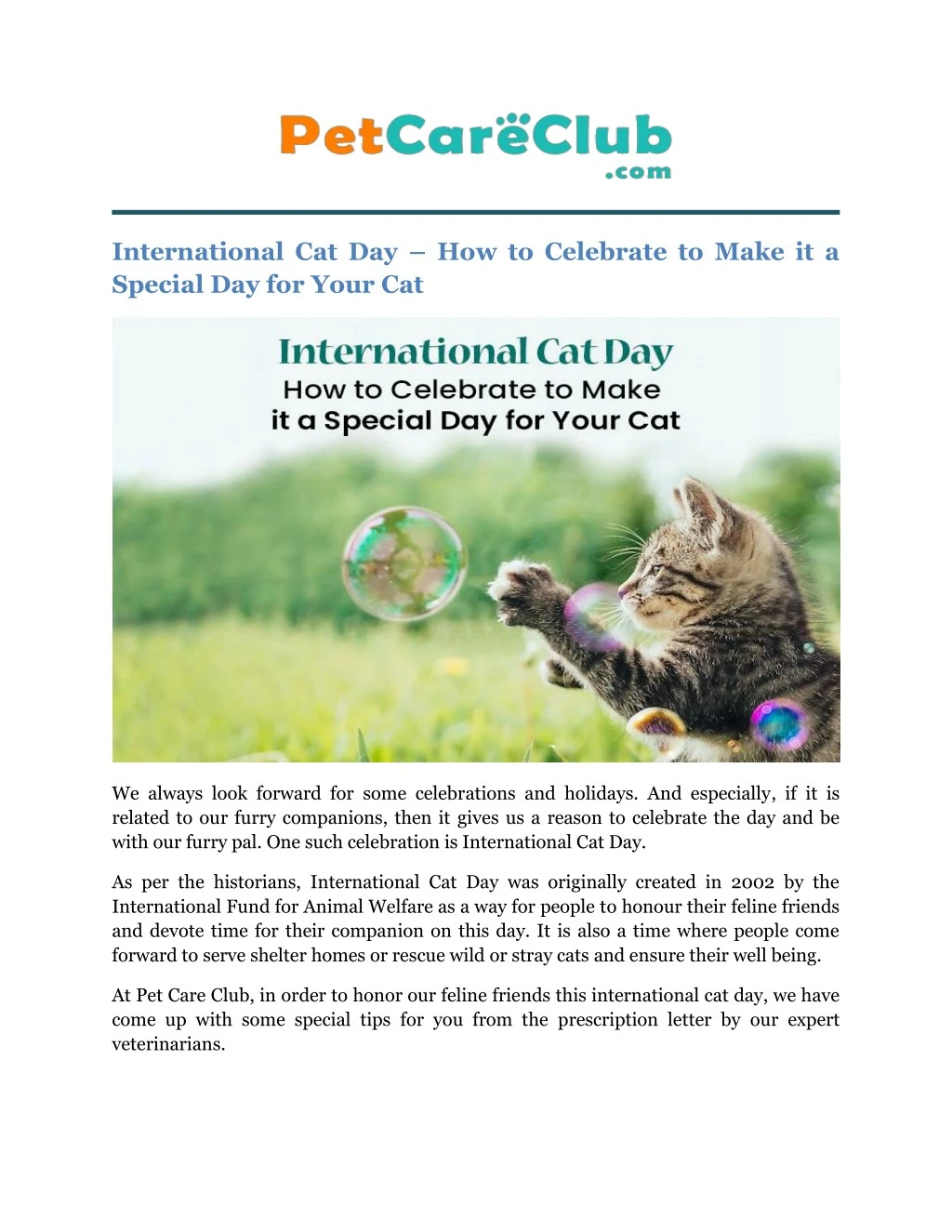 international cat day how to celebrate to make