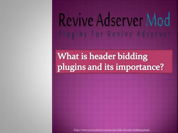 Header bidding plugins for revive ad server