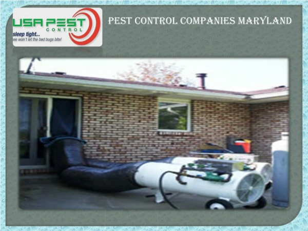 Pest Control Companies Maryland