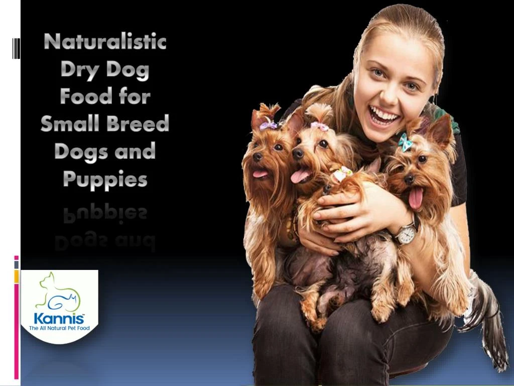 naturalistic dry dog food for small breed dogs