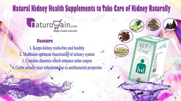 Natural Kidney Health Supplements to Take Care of Kidney Naturally