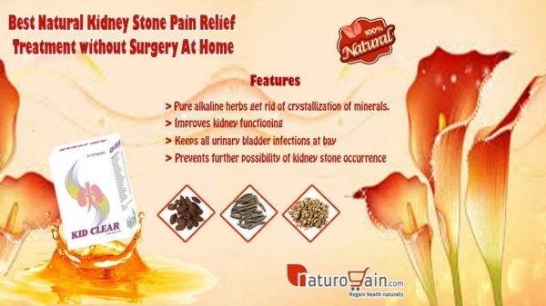 Best Natural Kidney Stone Pain Relief Treatment without Surgery At Home
