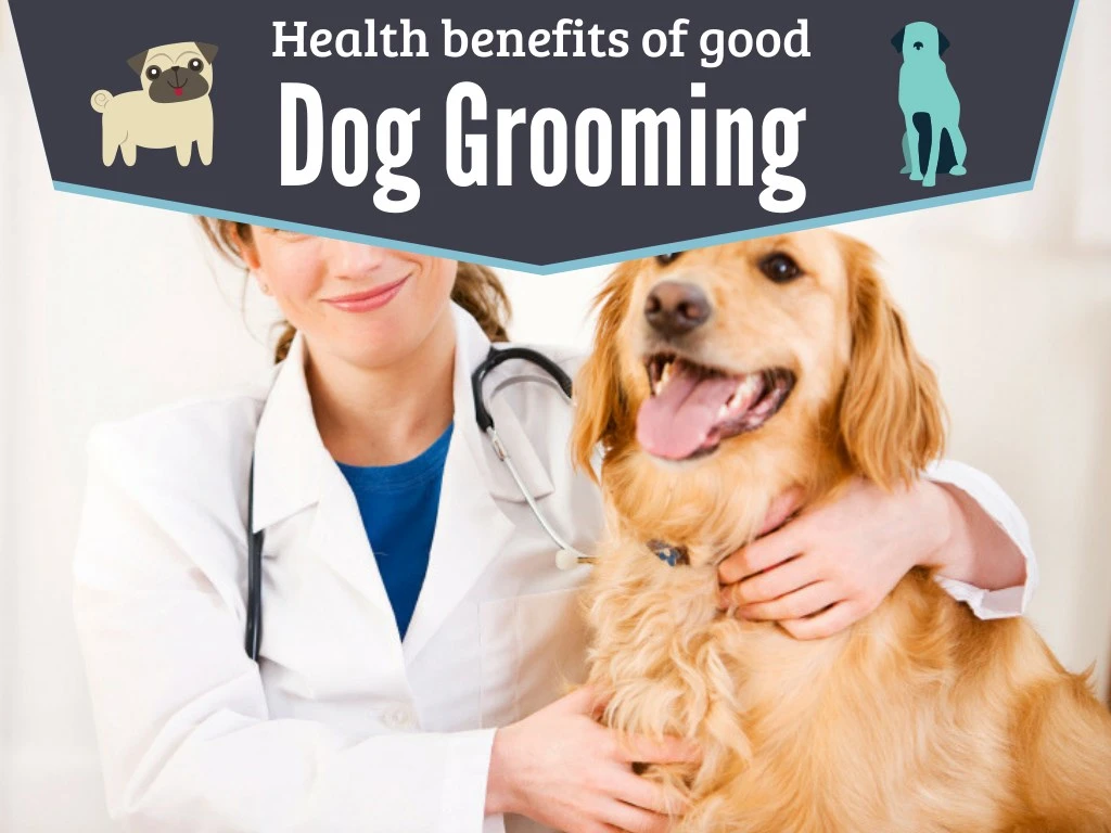 health benefits of good dog grooming