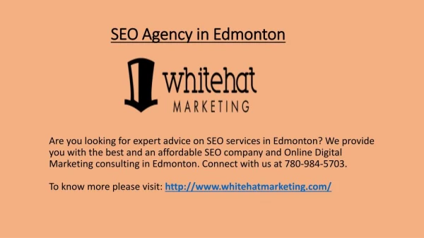 SEO Agency in Edmonton