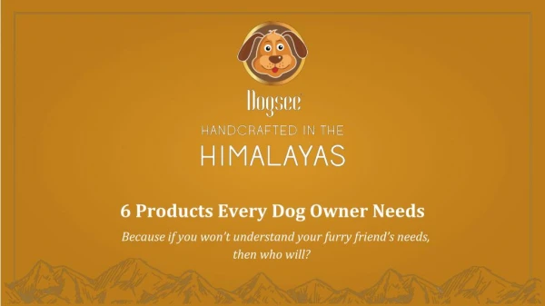 Products Every Dog Owner Needs