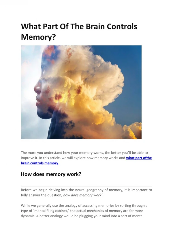 What Part Of The Brain Controls Memory?