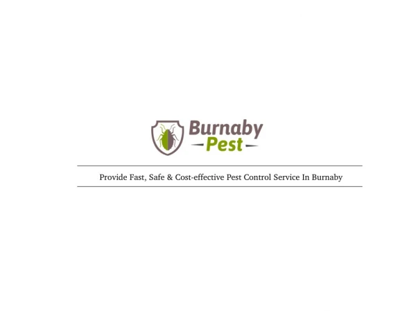 Burnaby Pest - Toronto Pest Specialists