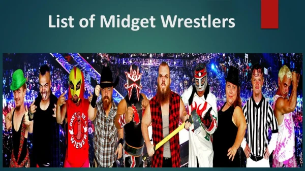 WWE Midget Wrestlers