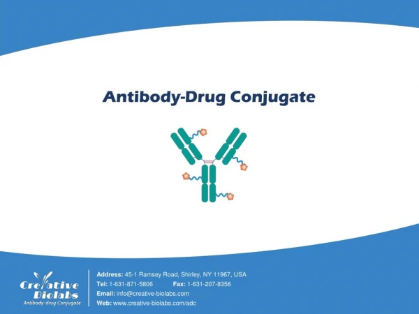 A Brief Introduction of Antibody-Drug Conjugate - Creative Biolabs