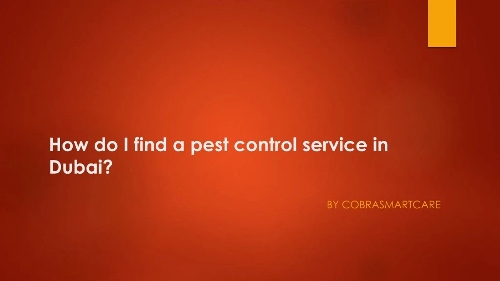 how do i find a pest control service in dubai