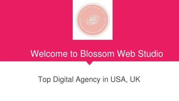 Blossom Web Studio | Top Digital Agency in USA, UK