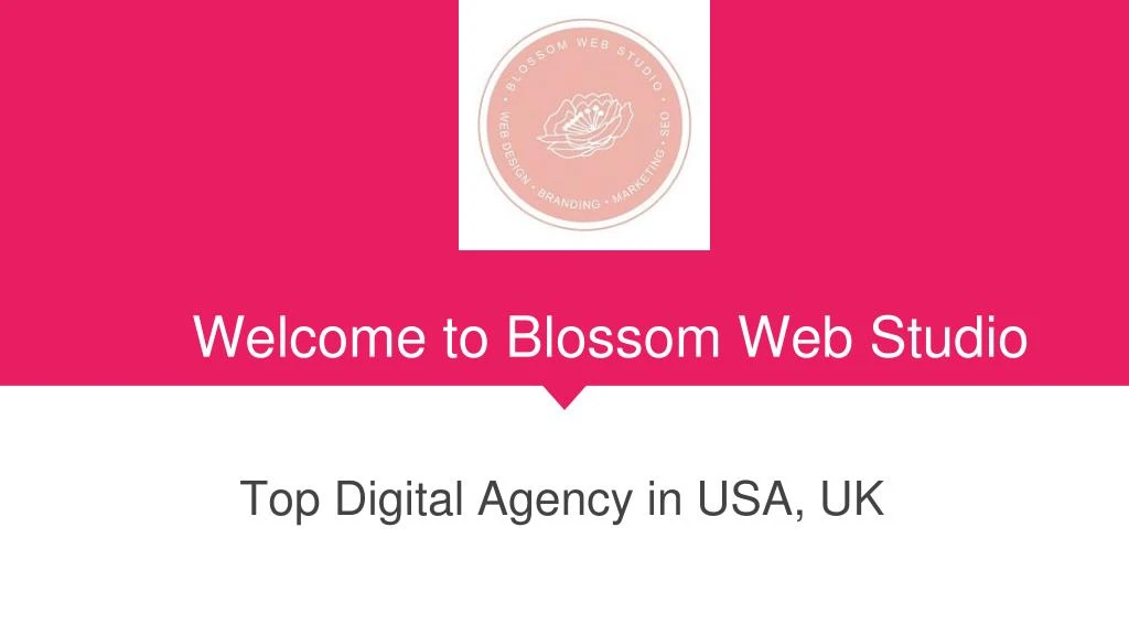 welcome to blossom web studio