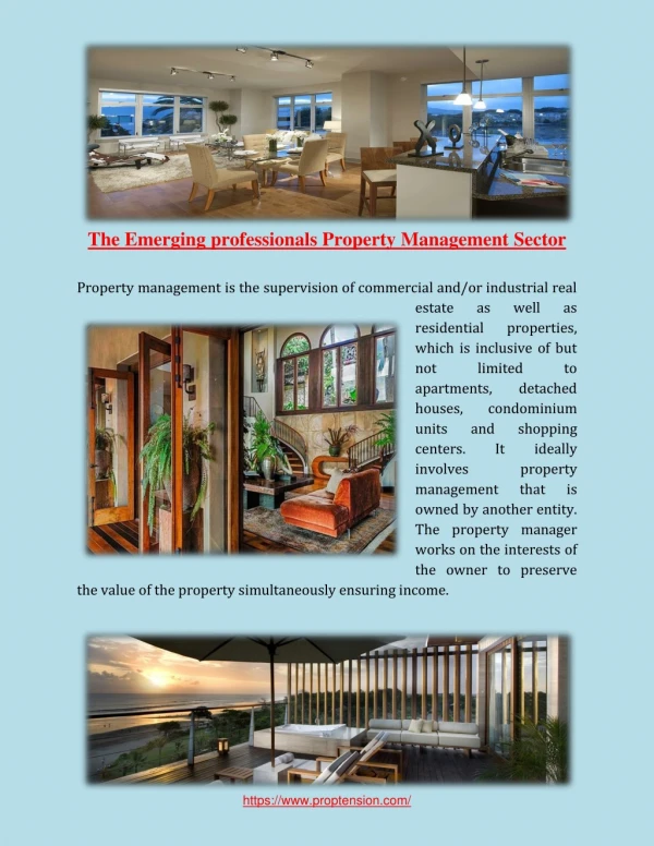 The Emerging professionals Property Management Sector