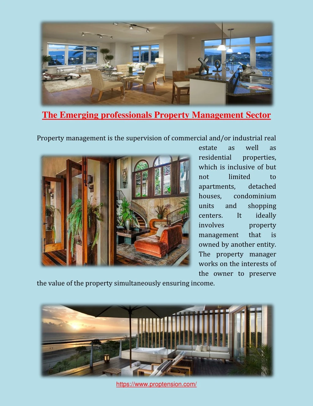 the emerging professionals property management