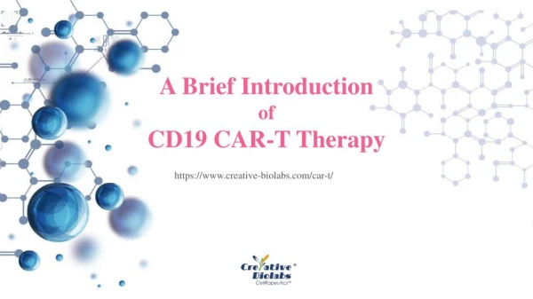 A Brief Introduction of CD19 CAR-T Therapy
