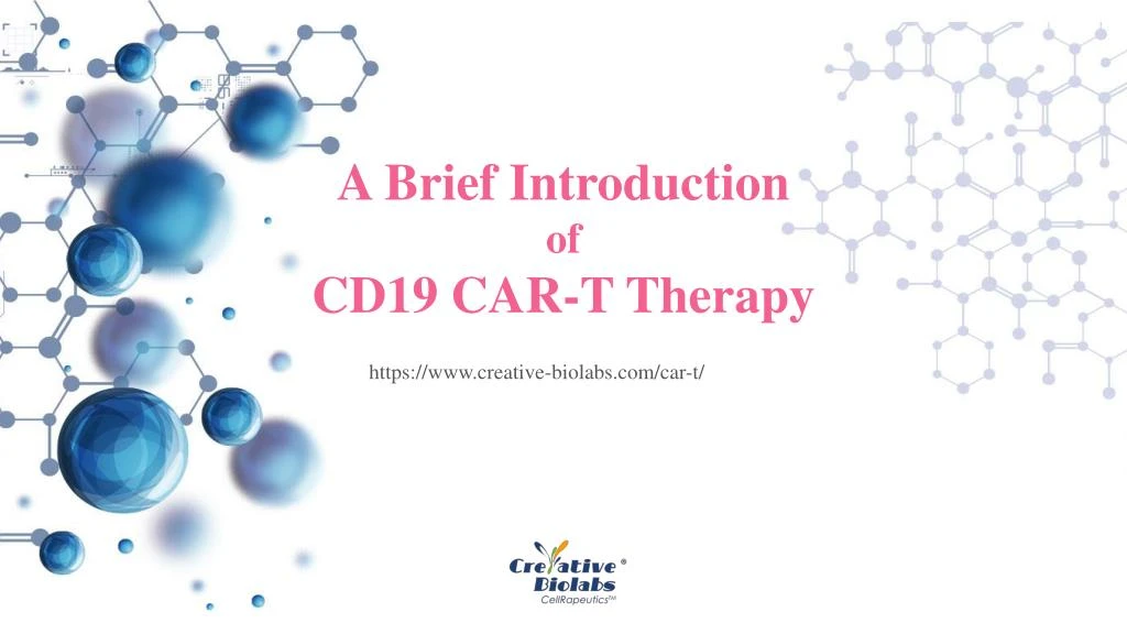 a brief introduction of cd19 car t therapy